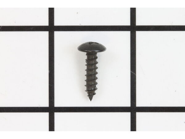 10078634-1-M-Ryobi-089240001093-Screw (M4 x 16 mm, Pan Hd)