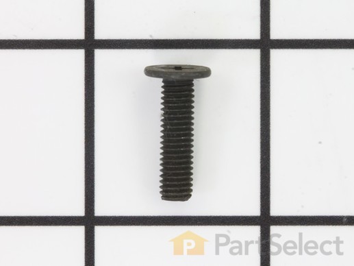 10078661-1-M-Ryobi-089240003005-Screw M5 x 8 mm, Pan Hd.