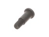 10078673-2-S-Ryobi-089240003018-Screw M5 x 17 mm, Phillips Hd.