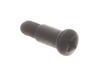 10078673-3-S-Ryobi-089240003018-Screw M5 x 17 mm, Phillips Hd.