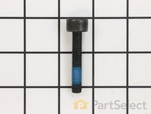 10078690-1-M-Ryobi-089240003038-Screw M8 X 48 Mm, Cap. Soc. Hd