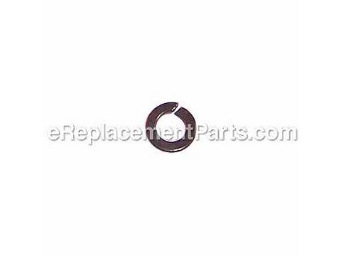 10079783-1-M-Ryobi-1900062-Spring Washer