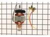 Assembly Motor W/ Bearings – Part Number: 303212001