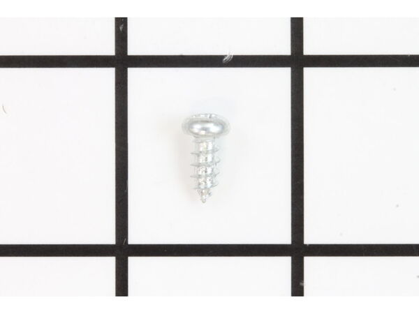 10081102-1-M-Ryobi-410452004-Self Tapping Screw Pan Head