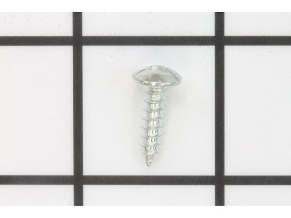 10081109-1-M-Ryobi-410542004-Screw Truss Head