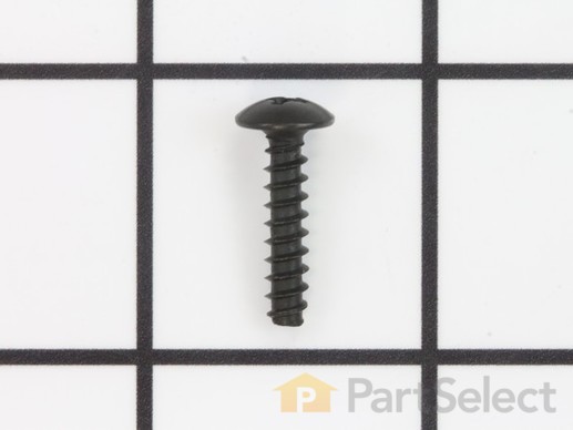 10081119-1-M-Ryobi-410601001-Screw Truss Hd M4x20mm