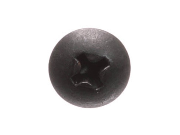10081120-1-M-Ryobi-410601003-Screw M4 X 10mm Truss Hd.