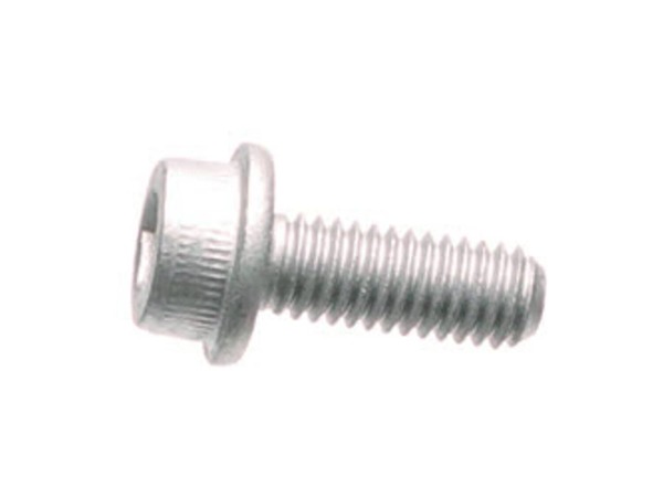 10083526-1-M-Ryobi-660144006-Screw