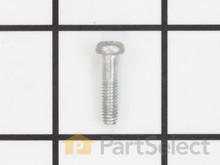 Screw M4 X 17mm – Part Number: 661171001