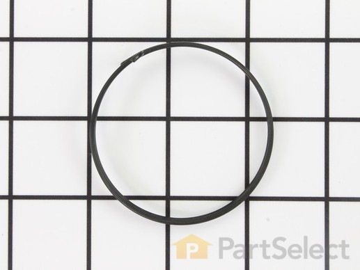 10083912-1-M-Ryobi-671985001-Torsion Spring