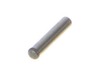 10083941-2-S-Ryobi-673058001-Pin Dia40x20