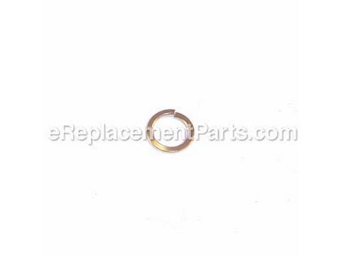 10084657-1-M-Ryobi-6956901-Spring Washer