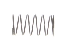 Spring-comp-.810 Bt3000 – Part Number: 969221001