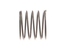 Spring-compr-.950 Bt3000 – Part Number: 969222001