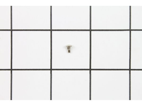 10086311-1-M-Ryobi-976531001-Rivet
