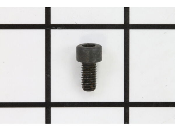 10087861-1-M-Ryobi-TSC07019-Hex Screw M5 X 10