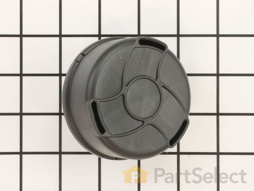 10088439-1-M-Rolair-FC317007000-Intake Filter Assembly.
