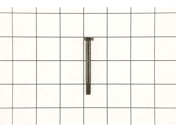 10089617-1-M-Ridgid-000900510038-Hex Bolt (M6X58)