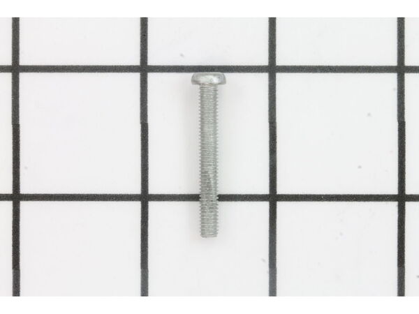 10089827-1-M-Ridgid-039438001013-Screw (m4 X 30 Mm, Torx, Pan H