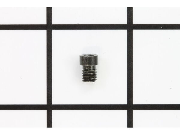 10089831-1-M-Ridgid-039438001022-Screw (m5 X 5 Mm, Special)
