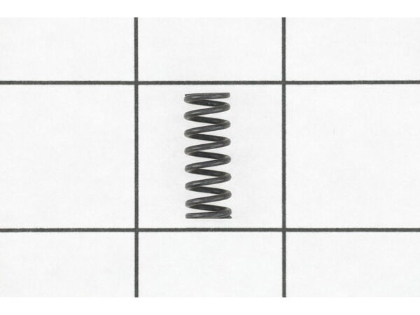 10089933-1-M-Ridgid-079001001071-Lock.Spring