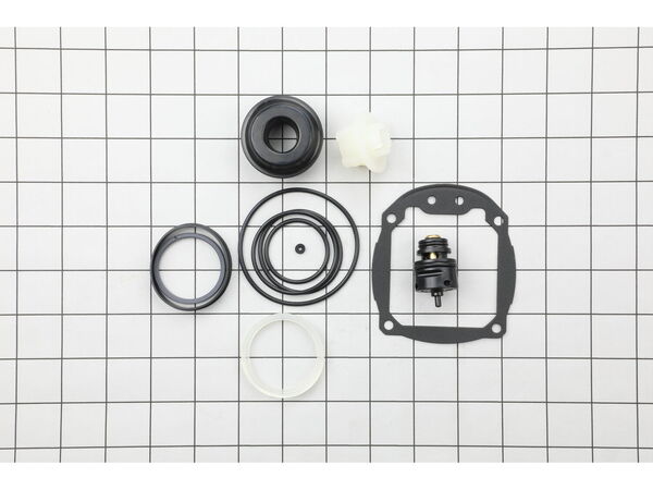 10090142-1-M-Ridgid-079004001084-Overhaul Kit -