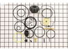 Overhaul Kit – Part Number: 079005002027