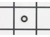 10090393-2-S-Ridgid-079006005036-O-Ring (4 x 1.7)