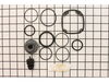 Overhaul Kit – Part Number: 079006005702