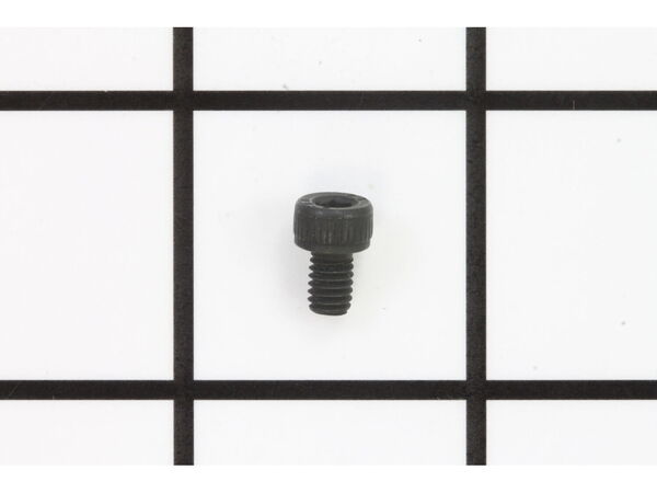 10090473-1-M-Ridgid-079007001058-Bolt (Hex Sochd) (M4 X 07-06)