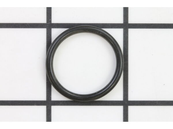10090558-1-M-Ridgid-079020001028-O-Ring (20.8X2.4)