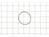O-Ring (55 x 2) – Part Number: 079022002007