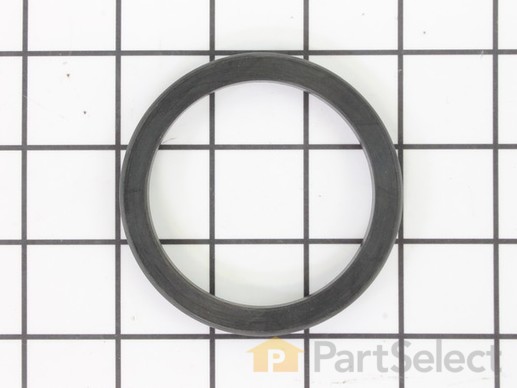 10090646-1-M-Ridgid-079022002018-Cylinder Seal