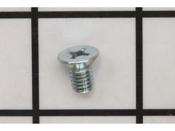 10090988-1-M-Ridgid-080009005179-Screw (M6 x 10 mm)