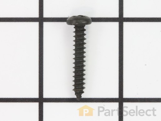 10091808-1-M-Ridgid-080035003154-Screw (M4 x 12 mm, Pan Hd)