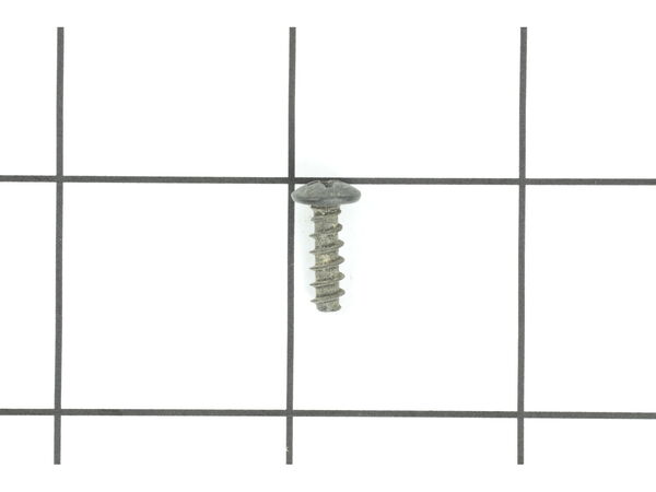 10091945-1-M-Ridgid-080038001509-Screw (M4X 12 mm Pan HD.)
