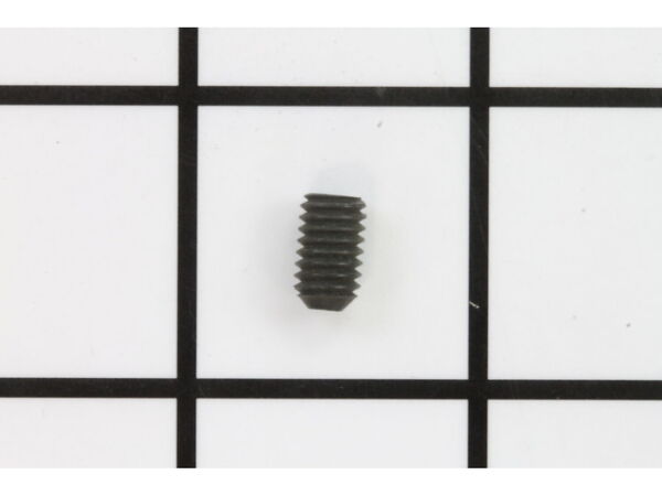 10091954-1-M-Ridgid-080049001510-Set Screw (M6 X 10 mm)