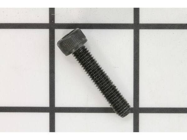 10092504-1-M-Ridgid-089037005100-Screw (M5 x 25 mm Hex Hd.)