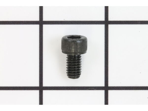 10092536-1-M-Ridgid-089037005133-Screw (M6 x 10 mm Hex Hd.)
