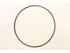 Wear Ring – Part Number: 089077001005