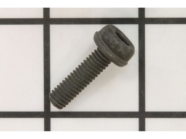 10092971-1-M-Ridgid-089077001079-Screw (m6 X 16 Mm, Hex Soc. Hd