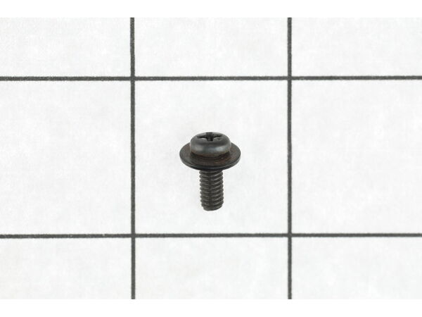 10093153-2-M-Ridgid-089110113143-Screw W/Washer