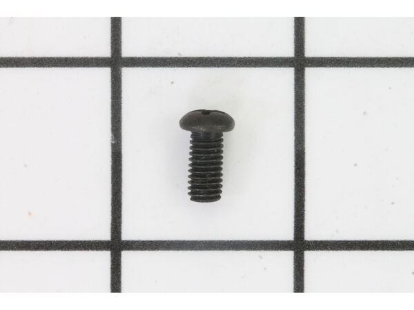 10093294-1-M-Ridgid-089170109018-Screw (M5 x 10mm, PanHd.)