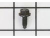 10093873-1-S-Ridgid-17513-Screw