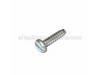 Screw (2) – Part Number: 20546