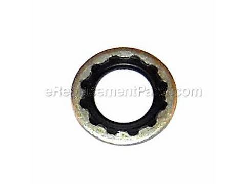 10094872-1-M-Ridgid-27252-Washer