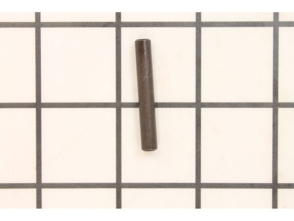 10095501-2-M-Ridgid-31690-Pin
