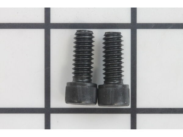 10095596-1-M-Ridgid-32205-Screw, 1/4