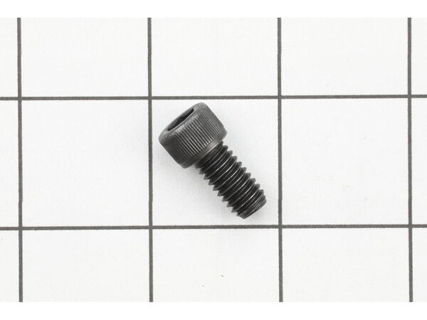 10095607-1-M-Ridgid-32275-Screw, 5 Pk