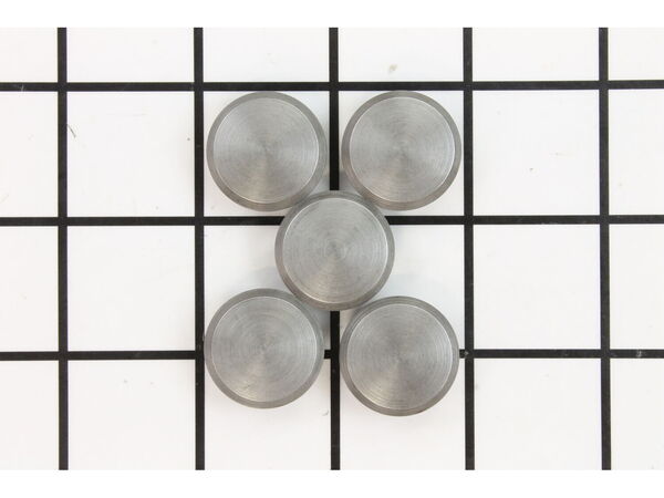 10095949-1-M-Ridgid-34320-Wear Plug, 5 Pk.